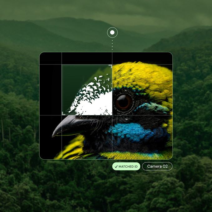 A close-up of a colorful bird’s head is overlaid on a rainforest background, with a digital interface showing a matched ID from camera 02.